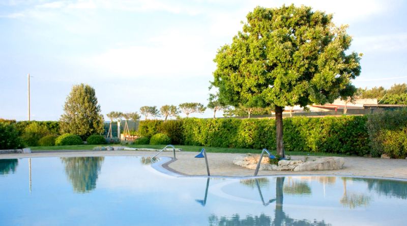 Brezza Tra Gli Ulivi