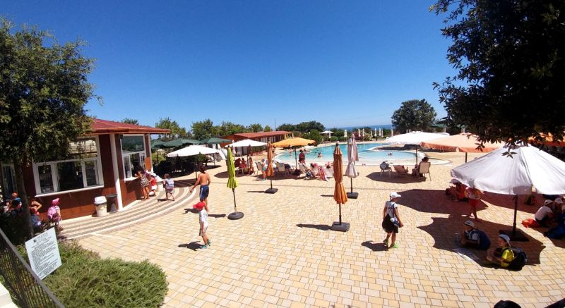 Brezza Tra Gli Ulivi