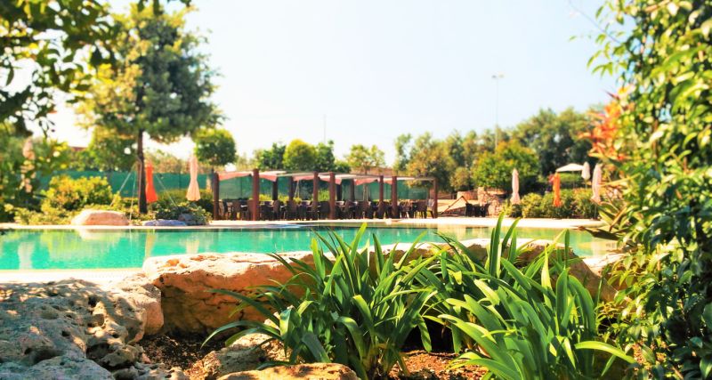 Brezza Tra Gli Ulivi